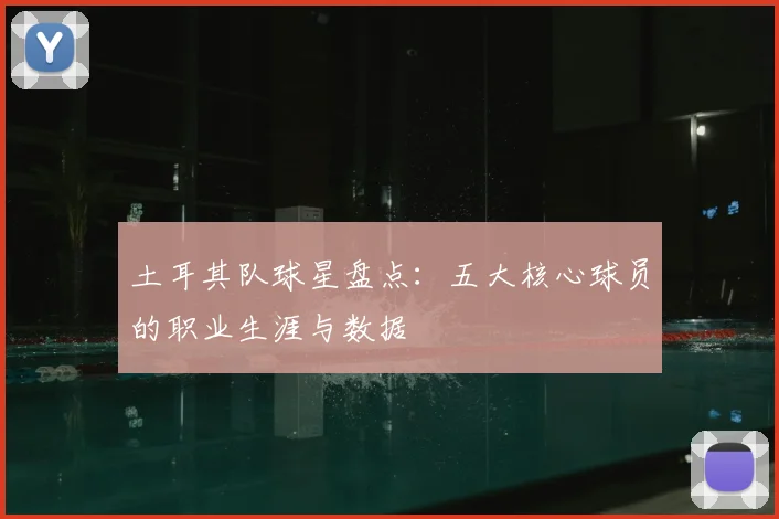 土耳其队球星盘点：五大核心球员的职业生涯与数据